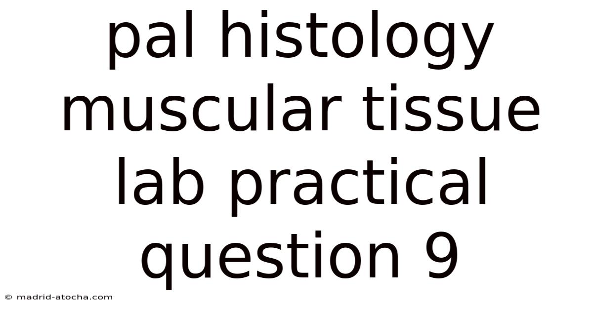Pal Histology Muscular Tissue Lab Practical Question 9