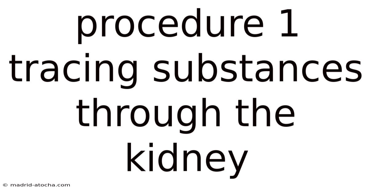 Procedure 1 Tracing Substances Through The Kidney
