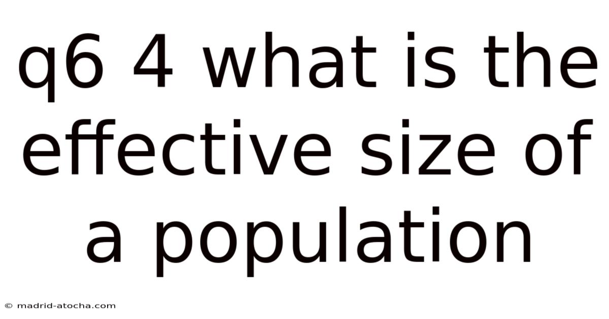 Q6 4 What Is The Effective Size Of A Population