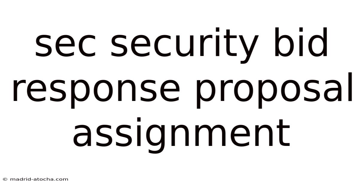 Sec Security Bid Response Proposal Assignment