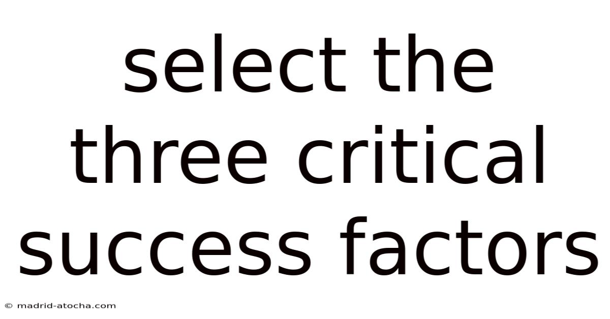 Select The Three Critical Success Factors