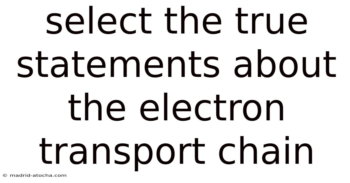 Select The True Statements About The Electron Transport Chain