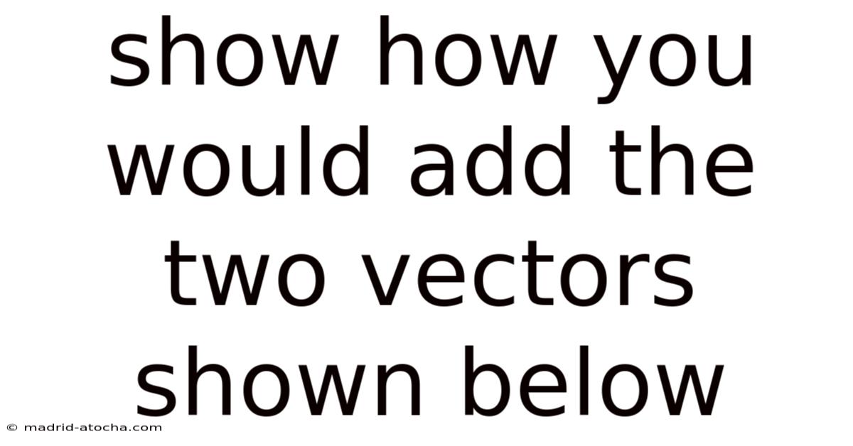 Show How You Would Add The Two Vectors Shown Below