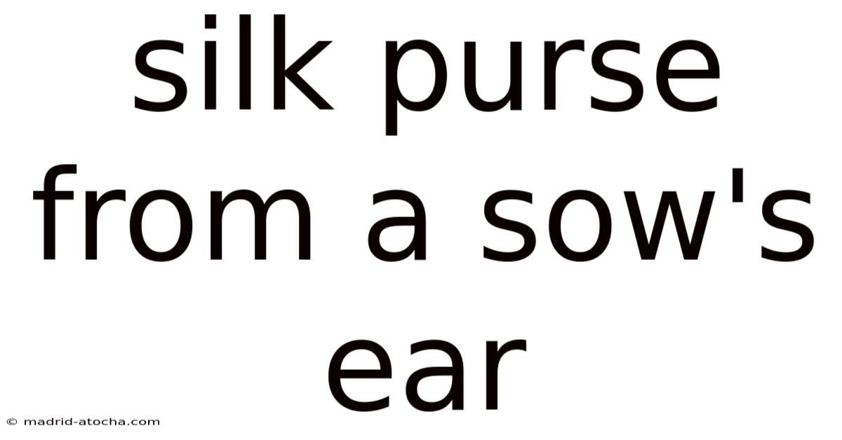 Silk Purse From A Sow's Ear