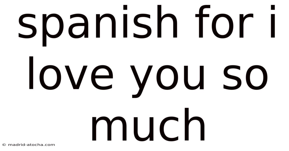 Spanish For I Love You So Much