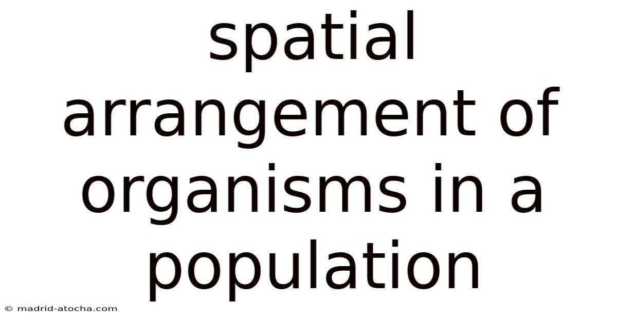 Spatial Arrangement Of Organisms In A Population