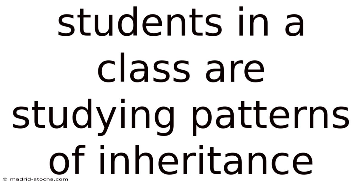 Students In A Class Are Studying Patterns Of Inheritance
