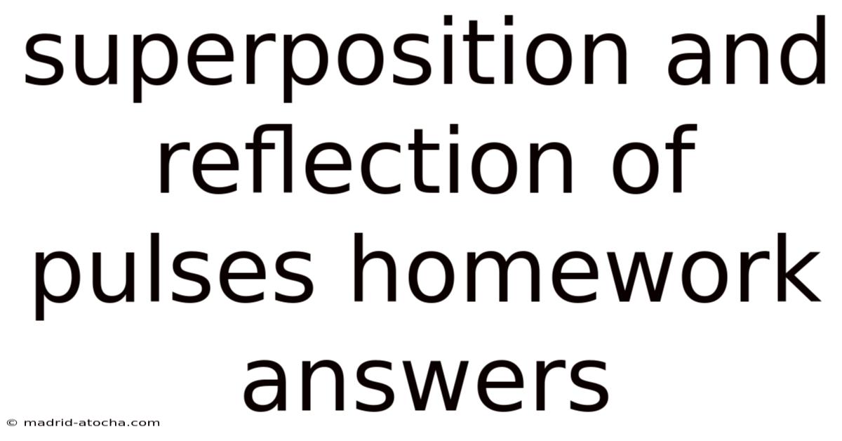 Superposition And Reflection Of Pulses Homework Answers