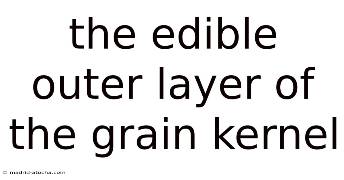 The Edible Outer Layer Of The Grain Kernel