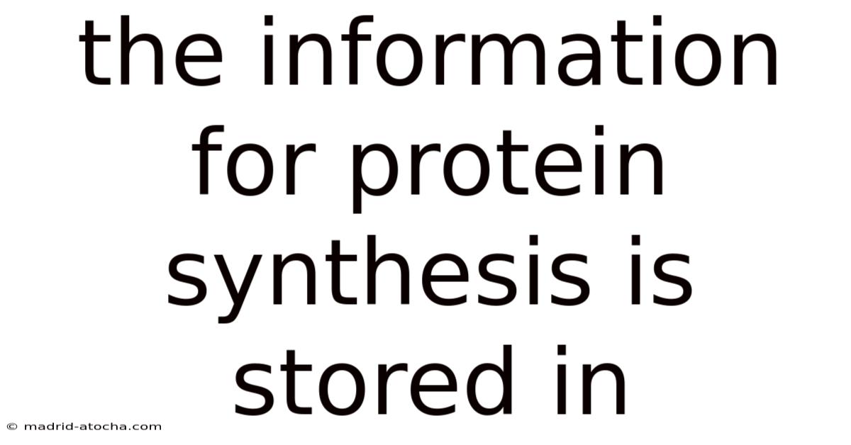 The Information For Protein Synthesis Is Stored In