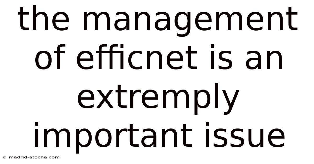 The Management Of Efficnet Is An Extremply Important Issue