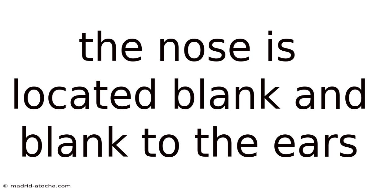The Nose Is Located Blank And Blank To The Ears