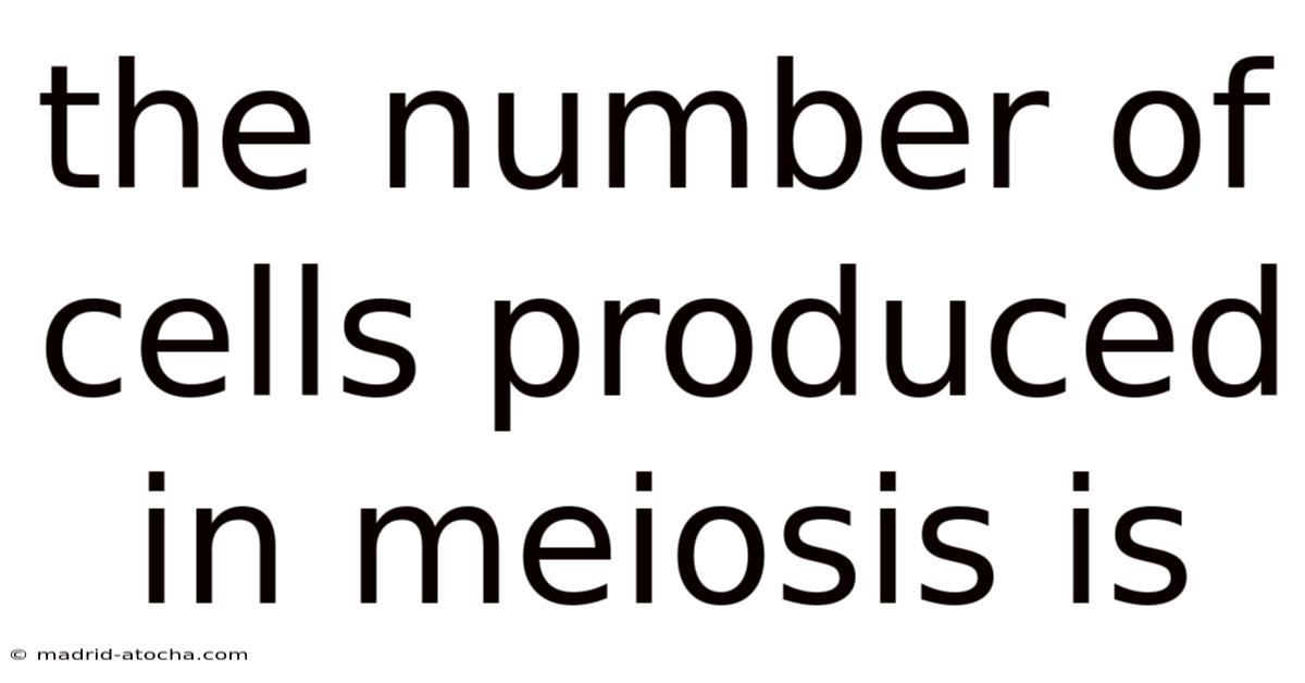 The Number Of Cells Produced In Meiosis Is