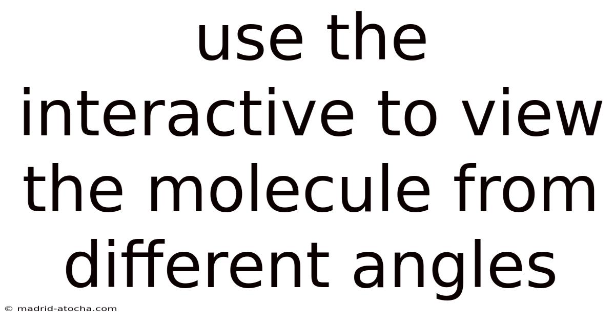 Use The Interactive To View The Molecule From Different Angles