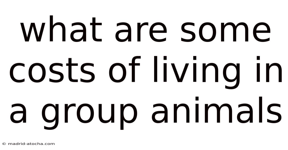 What Are Some Costs Of Living In A Group Animals