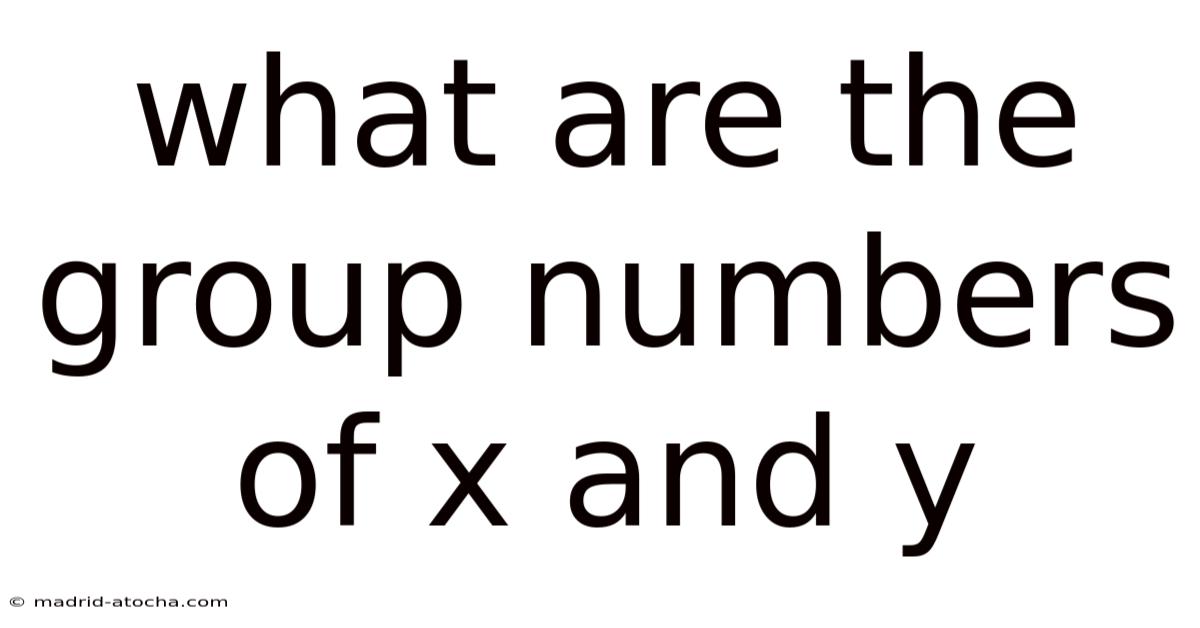 What Are The Group Numbers Of X And Y