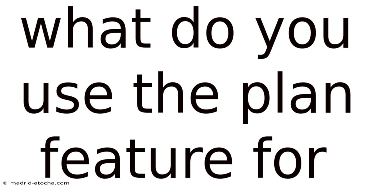 What Do You Use The Plan Feature For