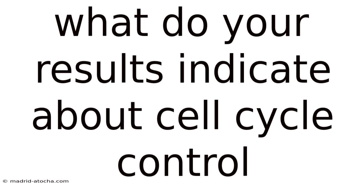What Do Your Results Indicate About Cell Cycle Control