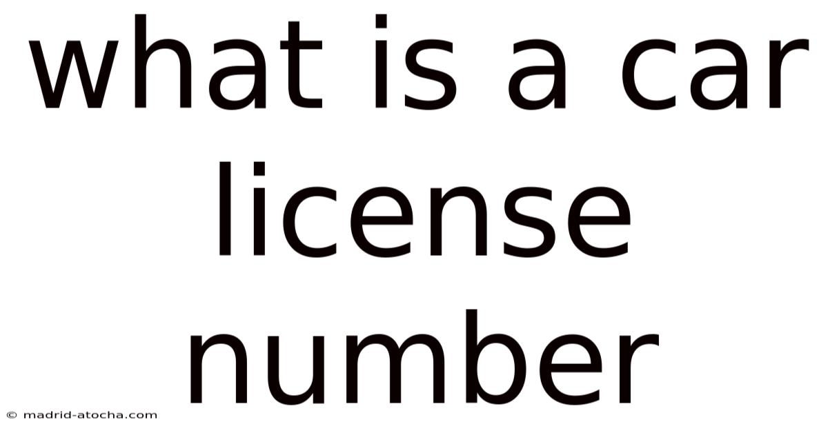 What Is A Car License Number
