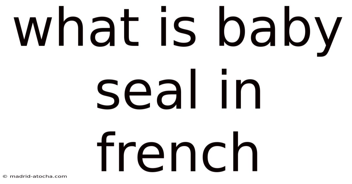 What Is Baby Seal In French