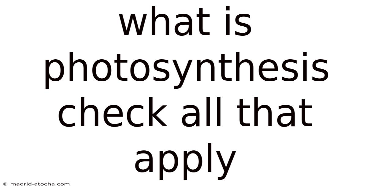 What Is Photosynthesis Check All That Apply
