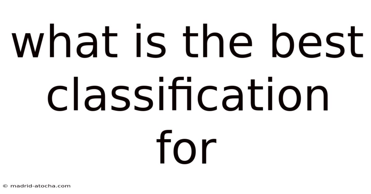 What Is The Best Classification For