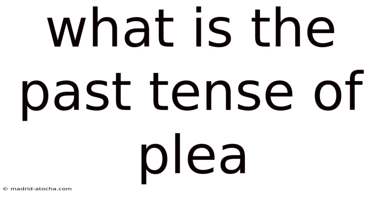 What Is The Past Tense Of Plea