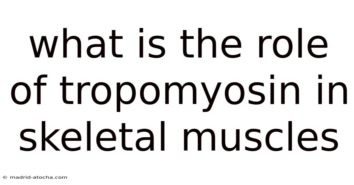 What Is The Role Of Tropomyosin In Skeletal Muscles