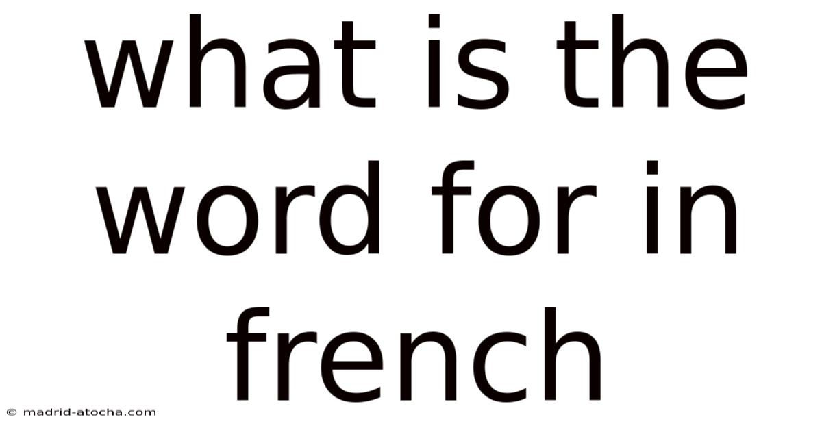 What Is The Word For In French