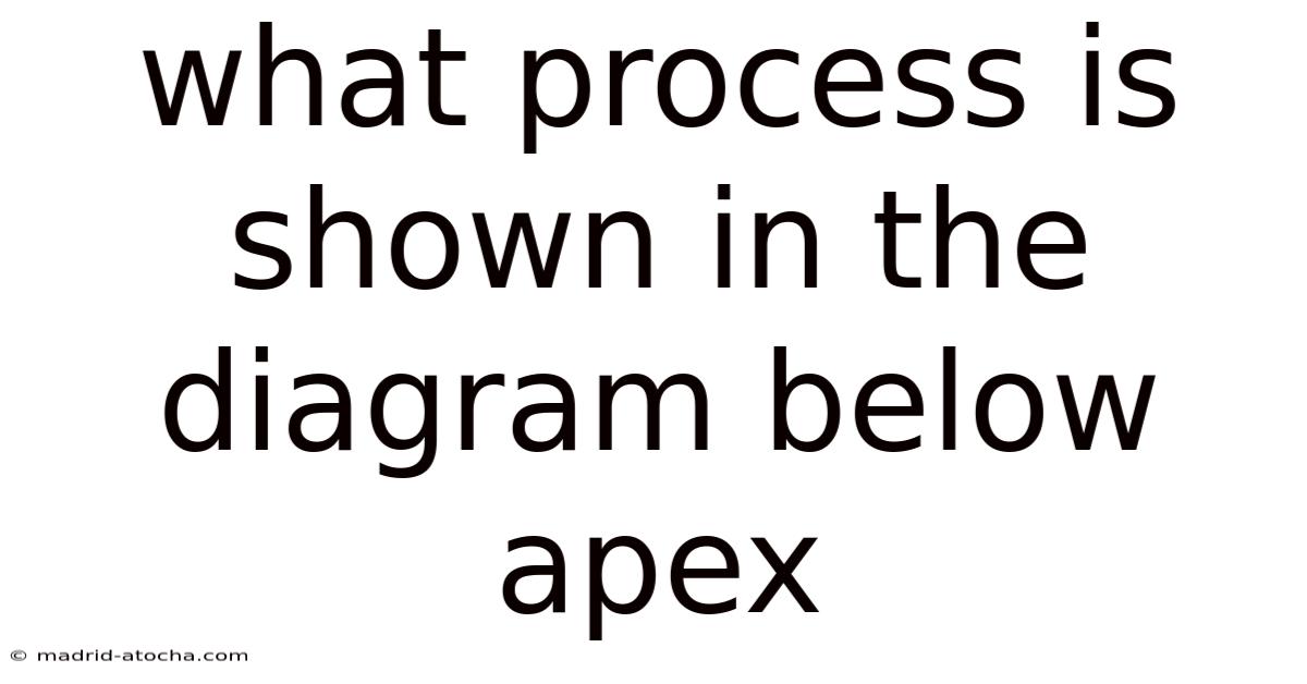 What Process Is Shown In The Diagram Below Apex