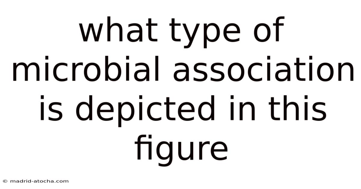 What Type Of Microbial Association Is Depicted In This Figure