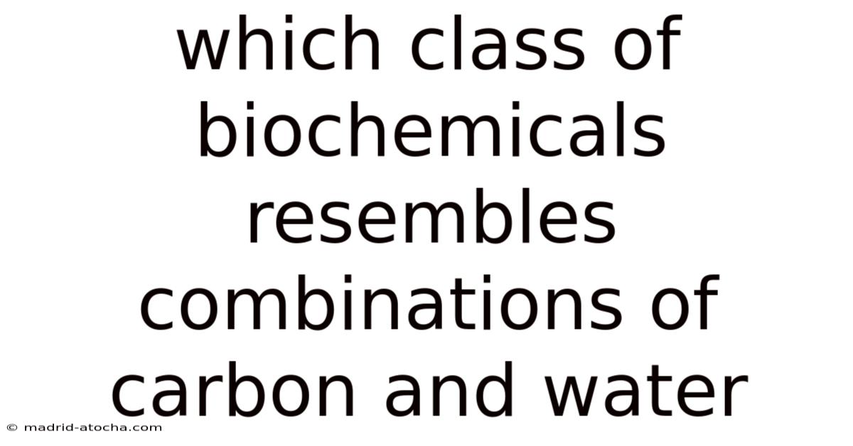 Which Class Of Biochemicals Resembles Combinations Of Carbon And Water