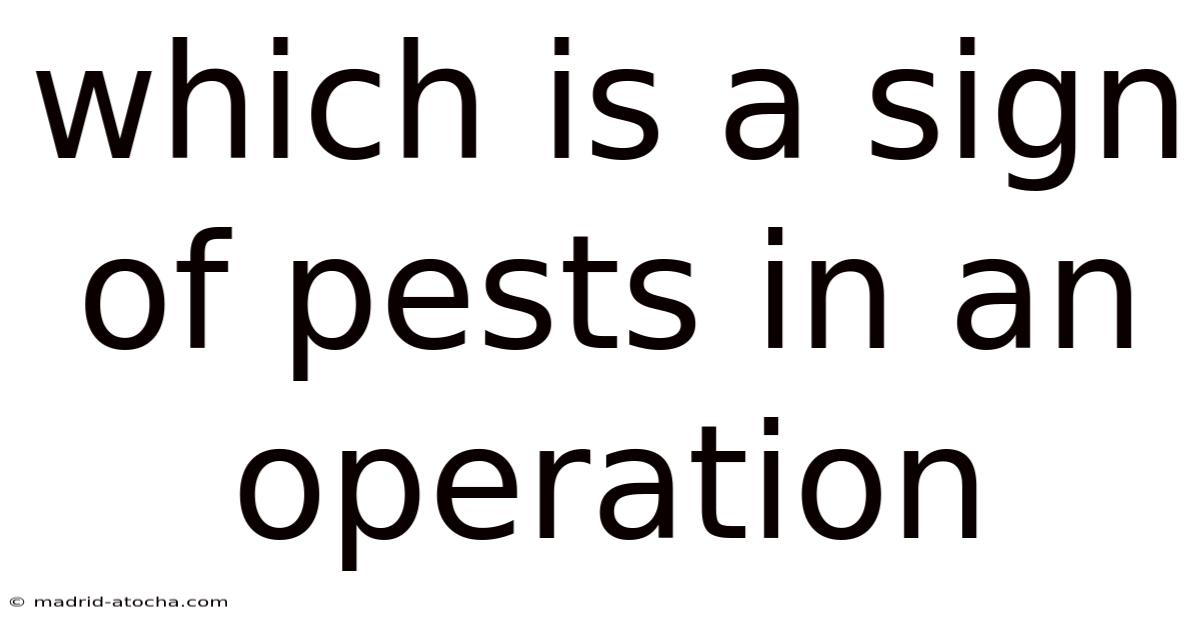 Which Is A Sign Of Pests In An Operation