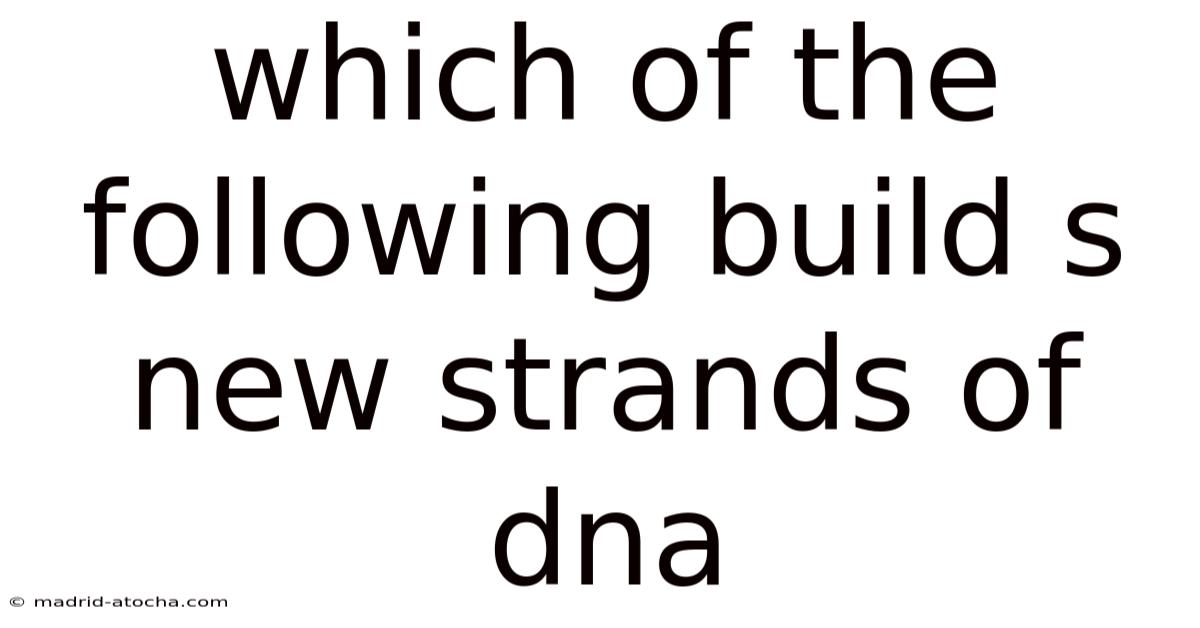 Which Of The Following Build S New Strands Of Dna