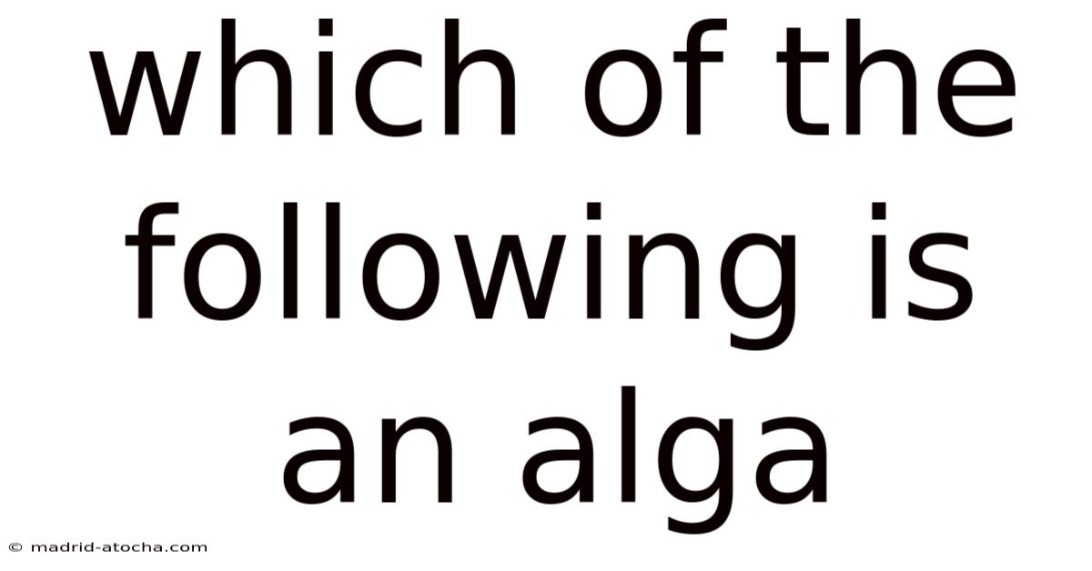 Which Of The Following Is An Alga