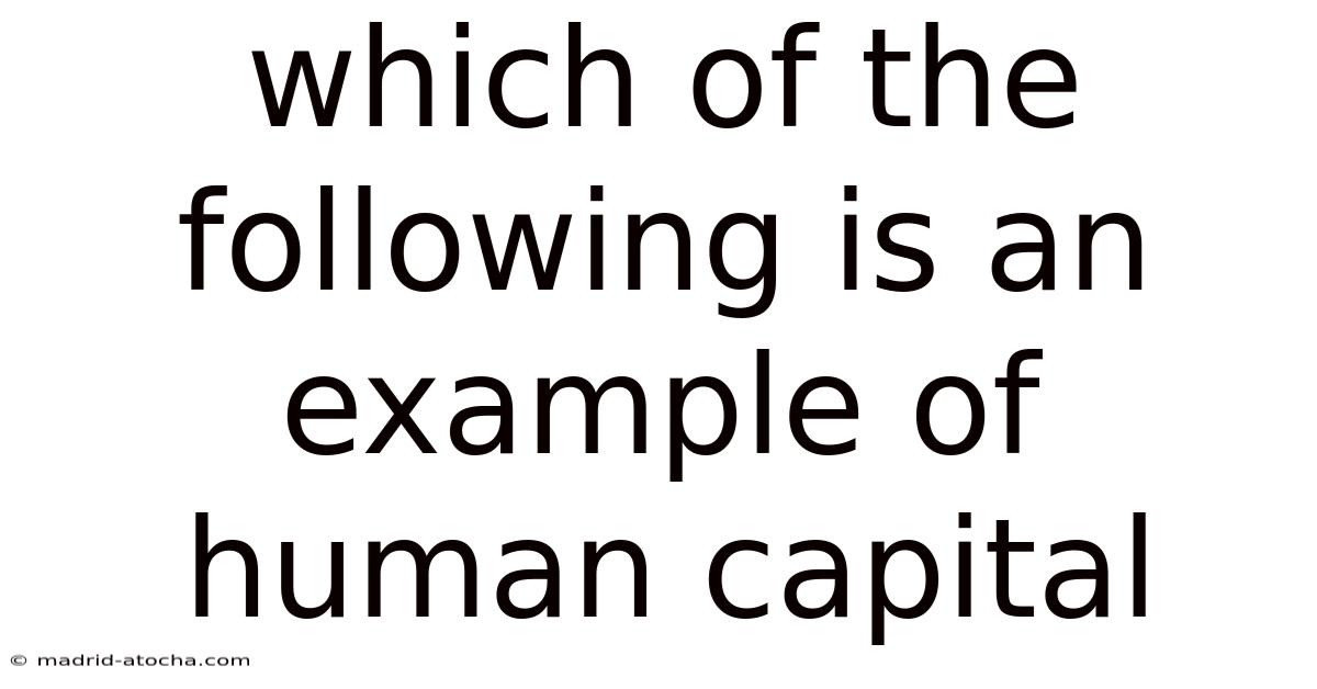 Which Of The Following Is An Example Of Human Capital