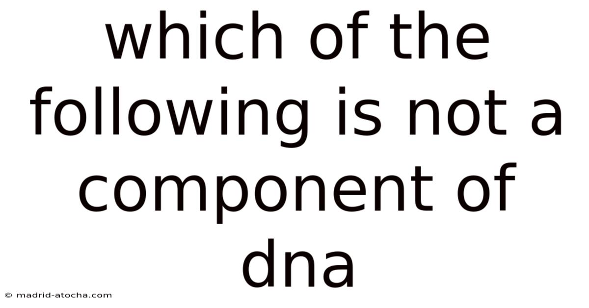 Which Of The Following Is Not A Component Of Dna