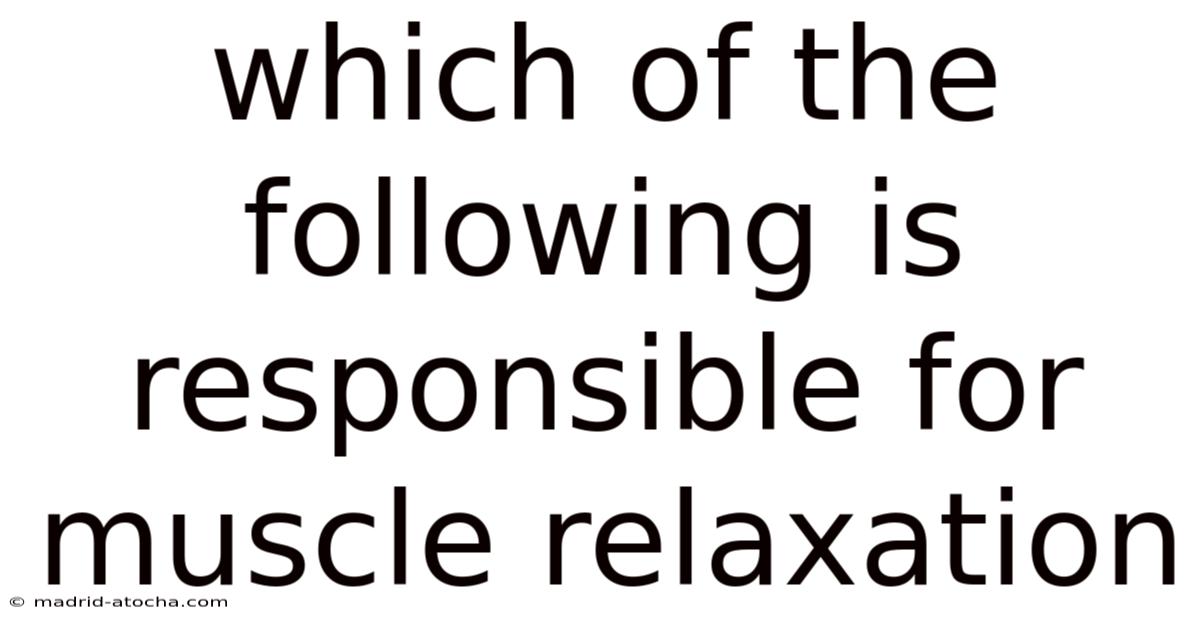 Which Of The Following Is Responsible For Muscle Relaxation