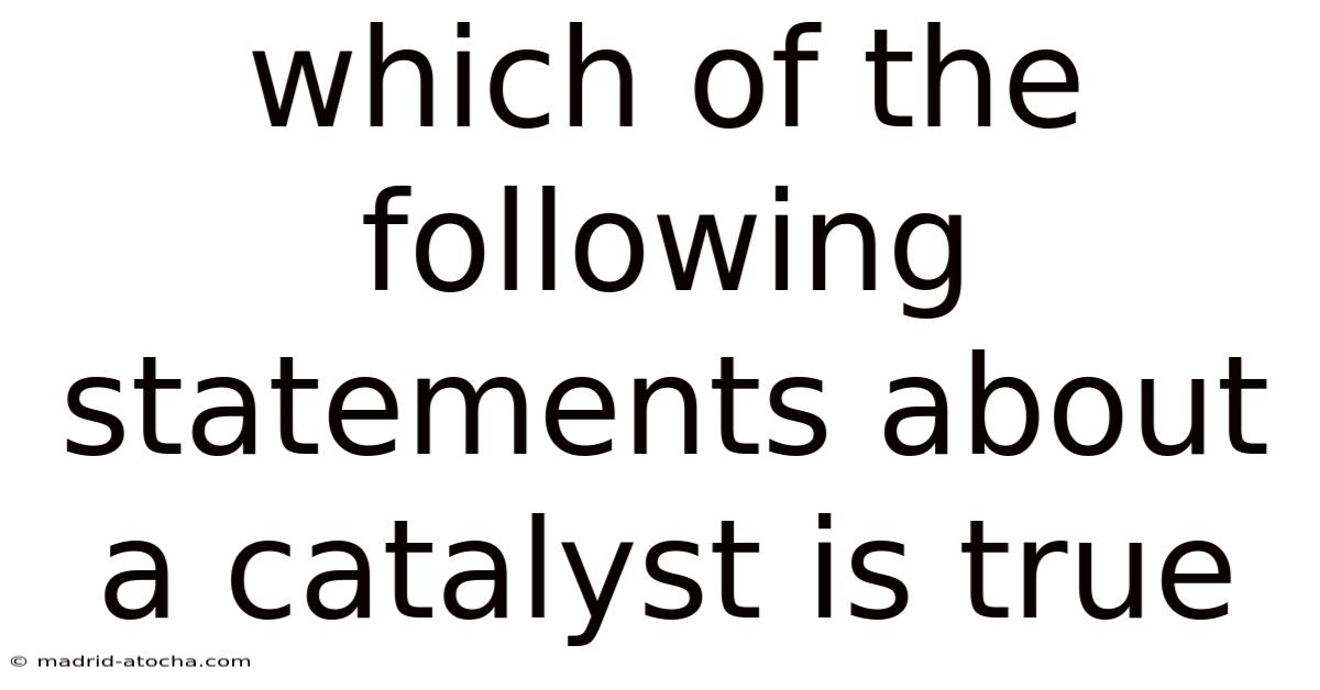 Which Of The Following Statements About A Catalyst Is True