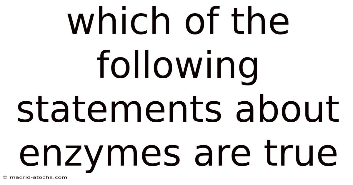 Which Of The Following Statements About Enzymes Are True
