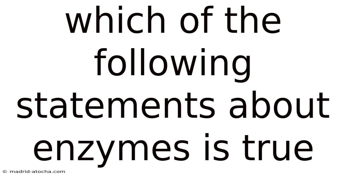 Which Of The Following Statements About Enzymes Is True
