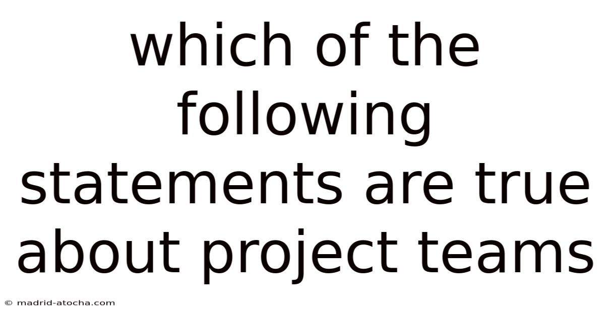 Which Of The Following Statements Are True About Project Teams
