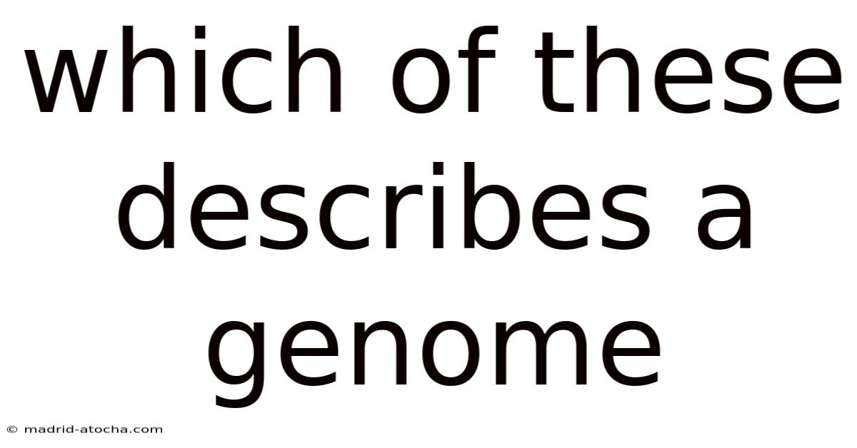 Which Of These Describes A Genome