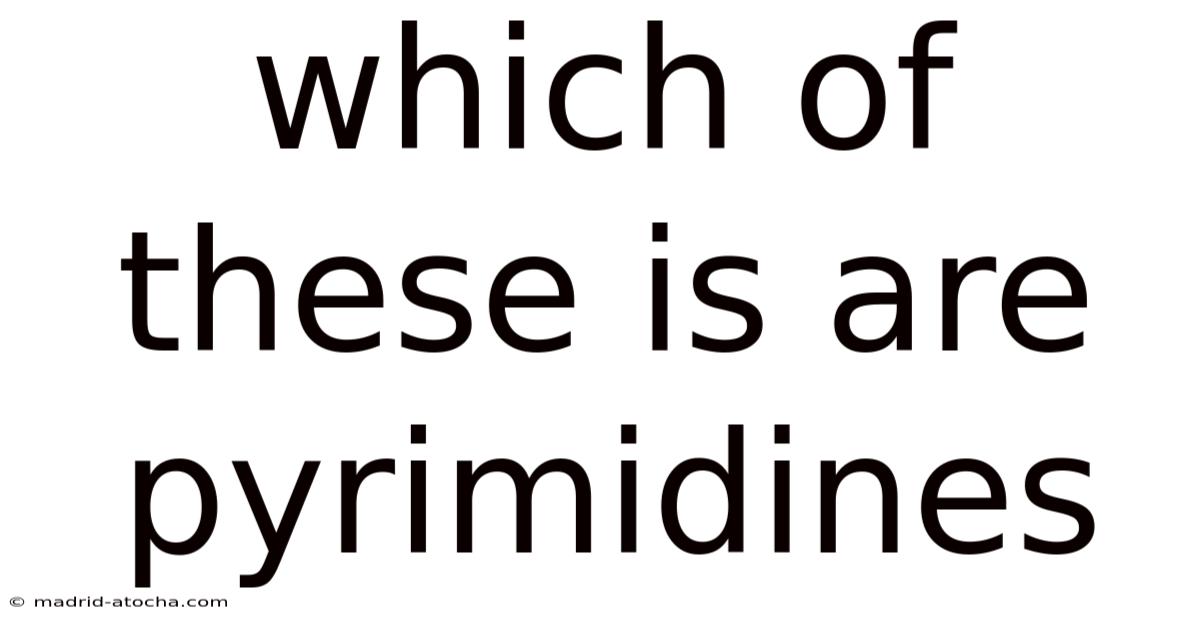 Which Of These Is Are Pyrimidines