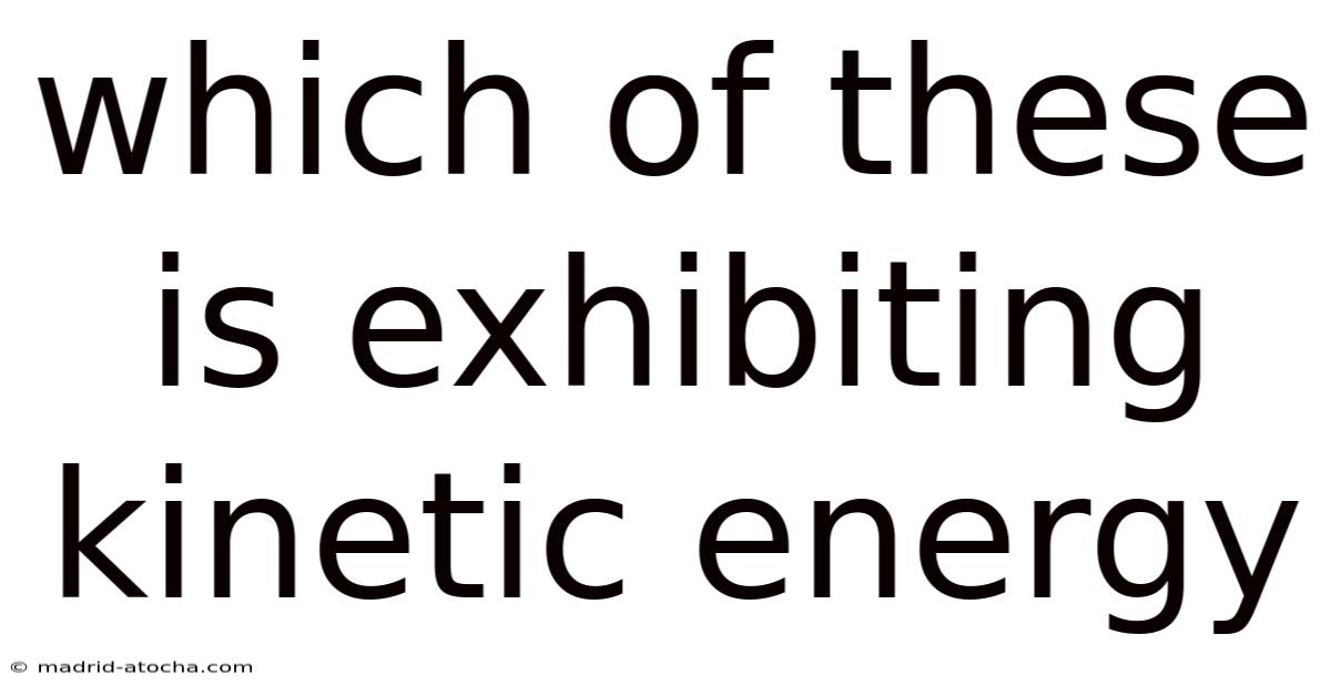 Which Of These Is Exhibiting Kinetic Energy