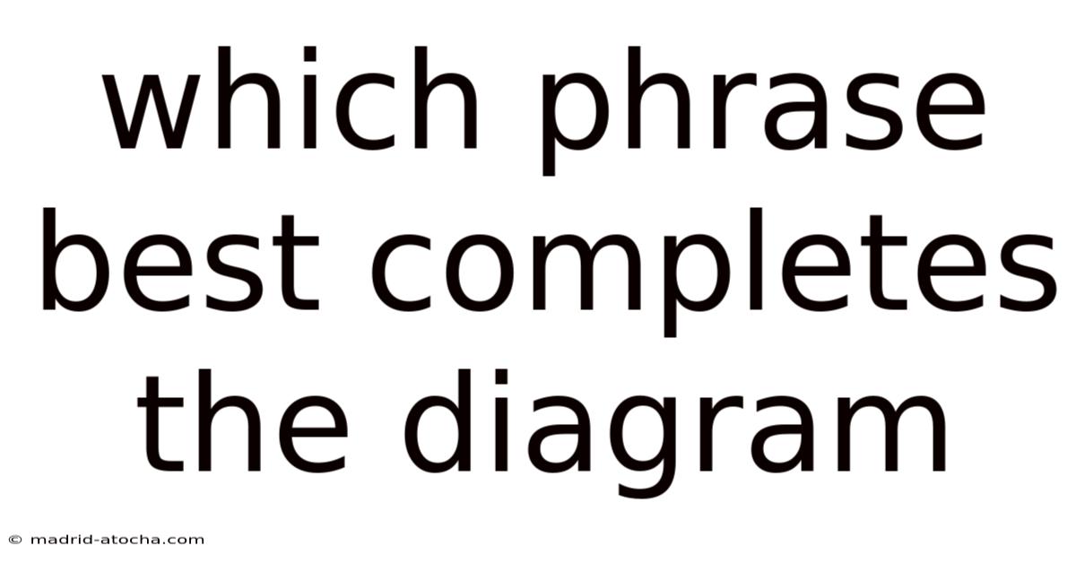 Which Phrase Best Completes The Diagram