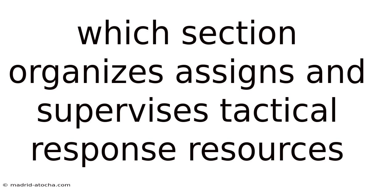 Which Section Organizes Assigns And Supervises Tactical Response Resources