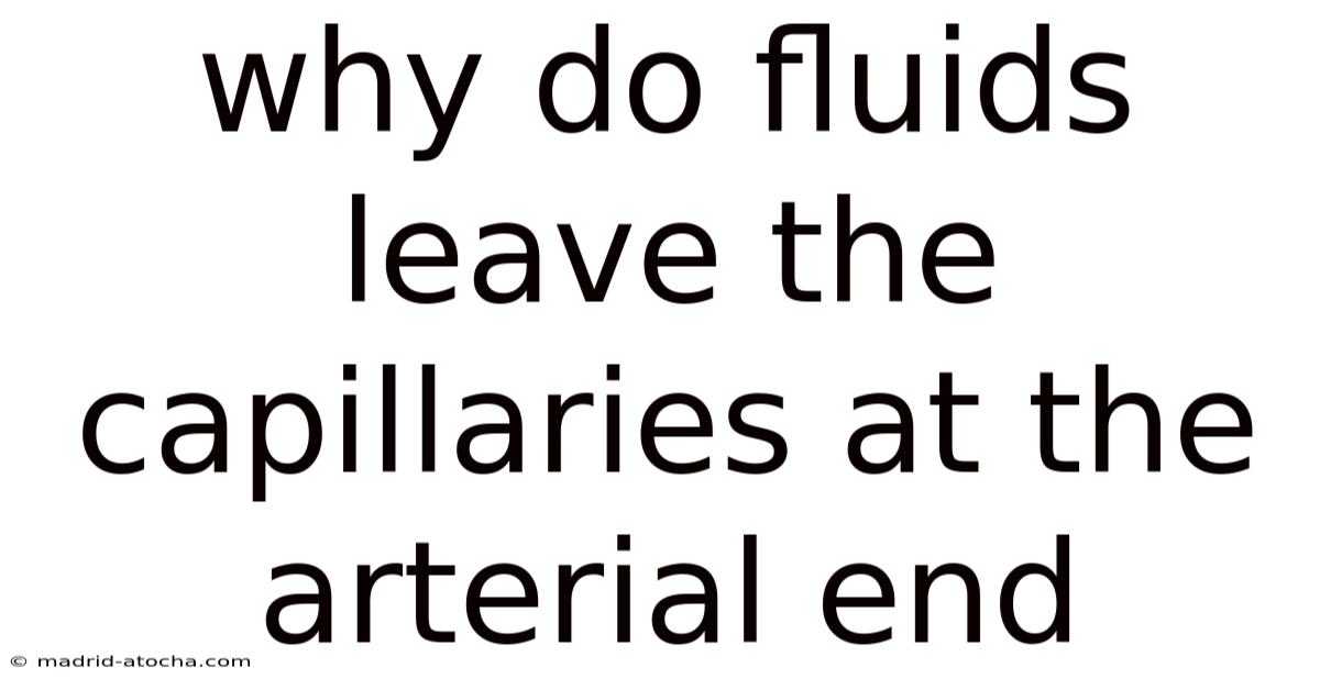 Why Do Fluids Leave The Capillaries At The Arterial End